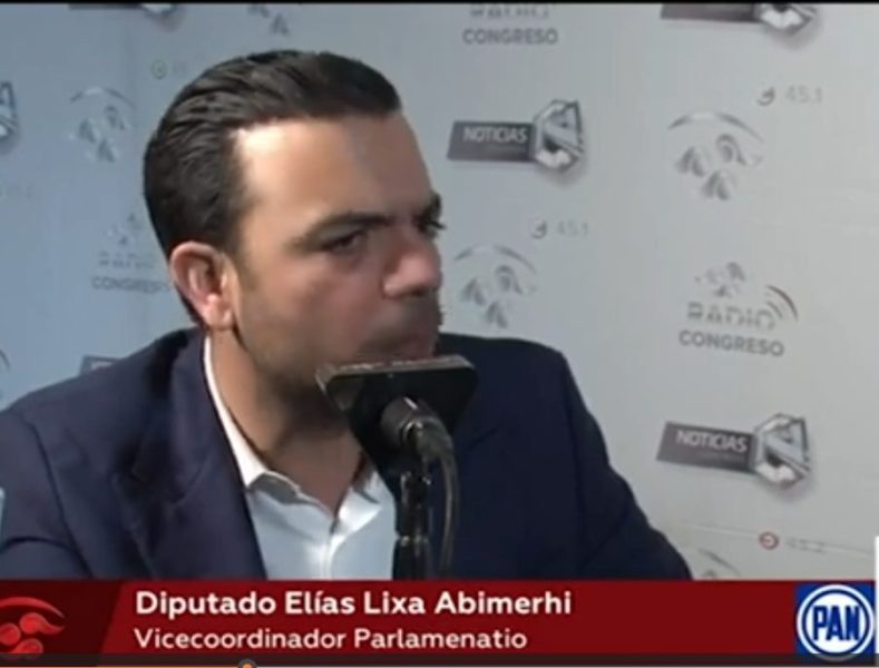  La bancada del PAN está comprometida a impulsar reformas que fortalezcan las instituciones democráticas y promuevan un desarrollo equitativo y sostenible para todos los mexicanos.