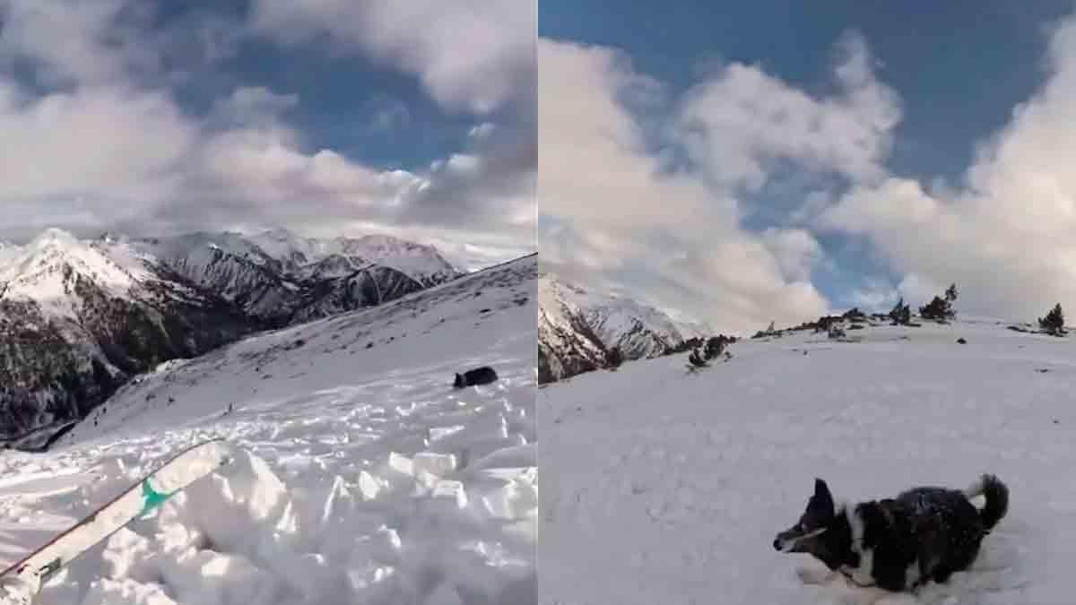 Esquiadora provoca aterradora avalancha y queda atrapada con su perrito